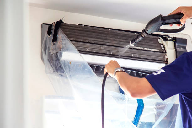 Air Duct Mold Removal in Horse Shoe, NC